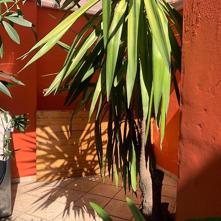 Villa Coyoacan Μεξικό Εξωτερικό φωτογραφία