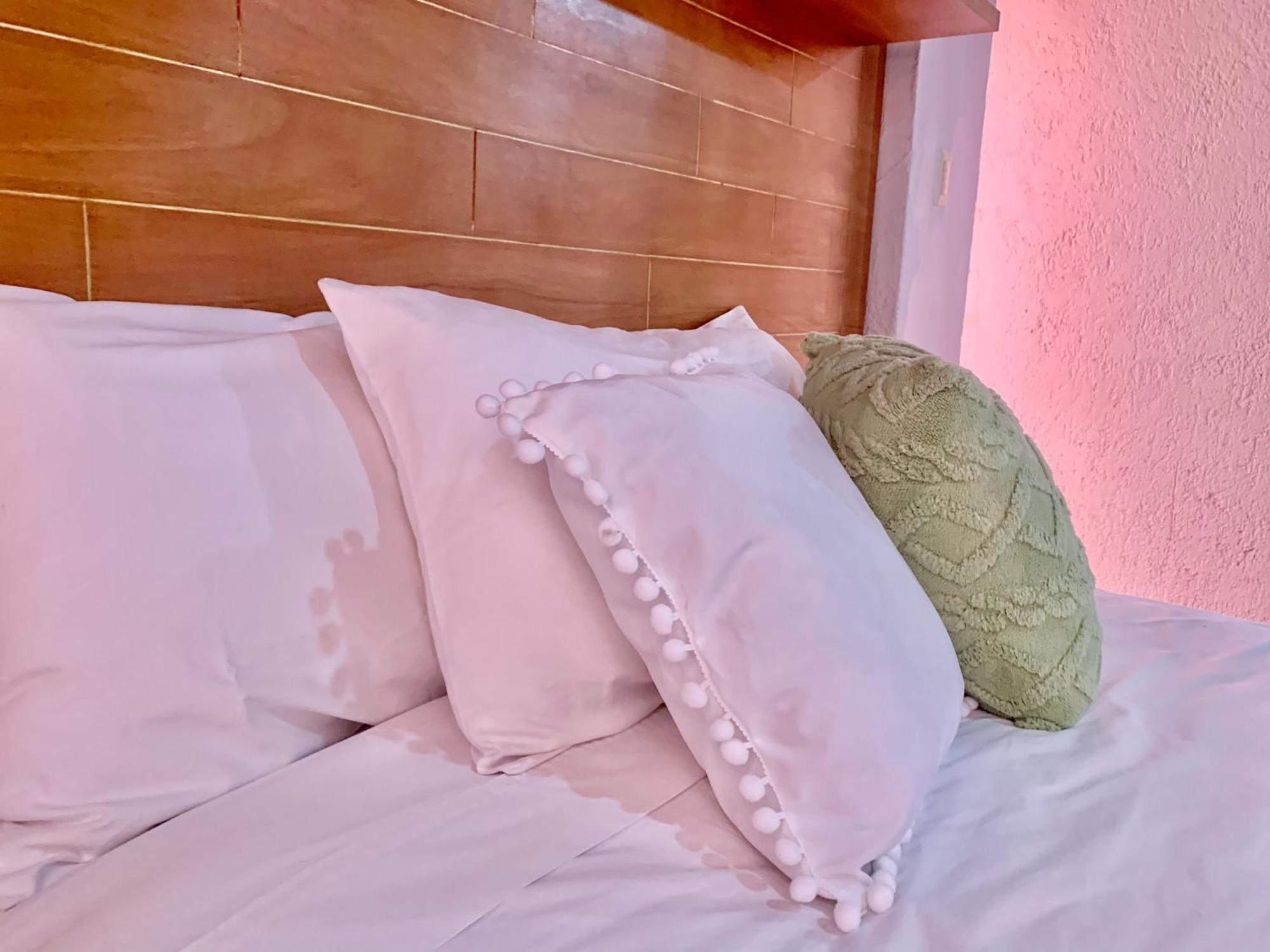 Villa Coyoacan Μεξικό Εξωτερικό φωτογραφία