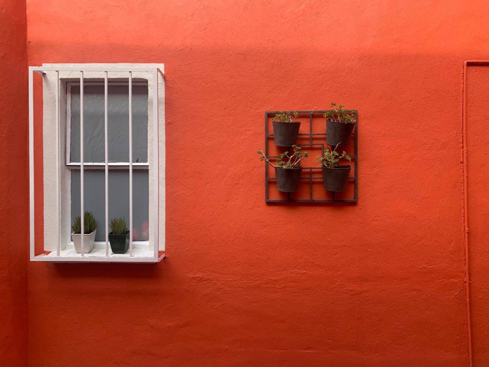 Villa Coyoacan Μεξικό Εξωτερικό φωτογραφία