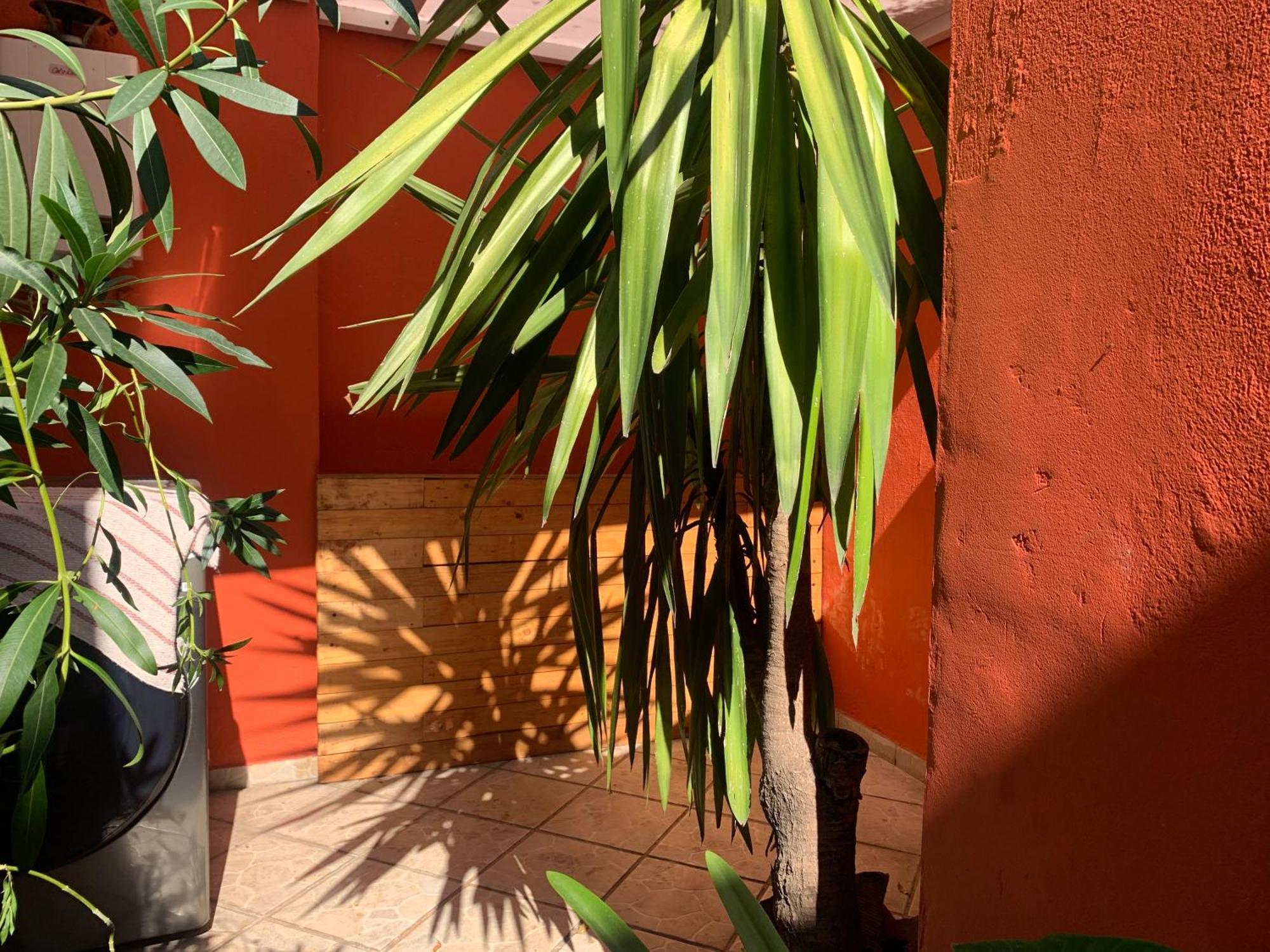 Villa Coyoacan Μεξικό Εξωτερικό φωτογραφία