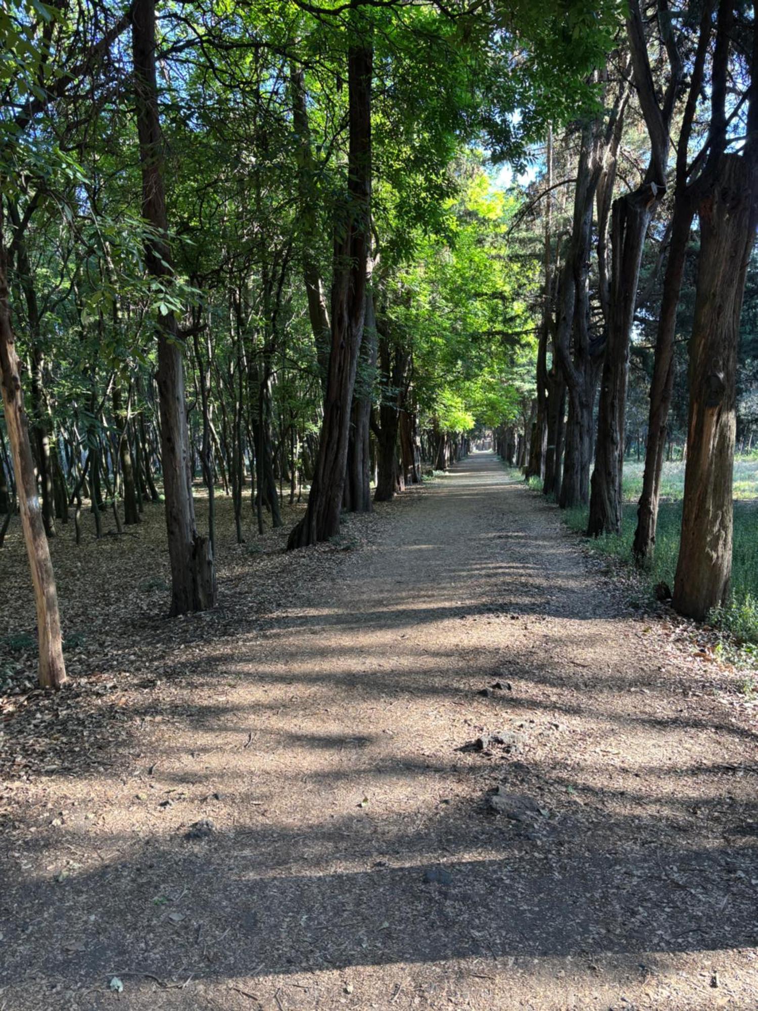 Villa Coyoacan Μεξικό Εξωτερικό φωτογραφία