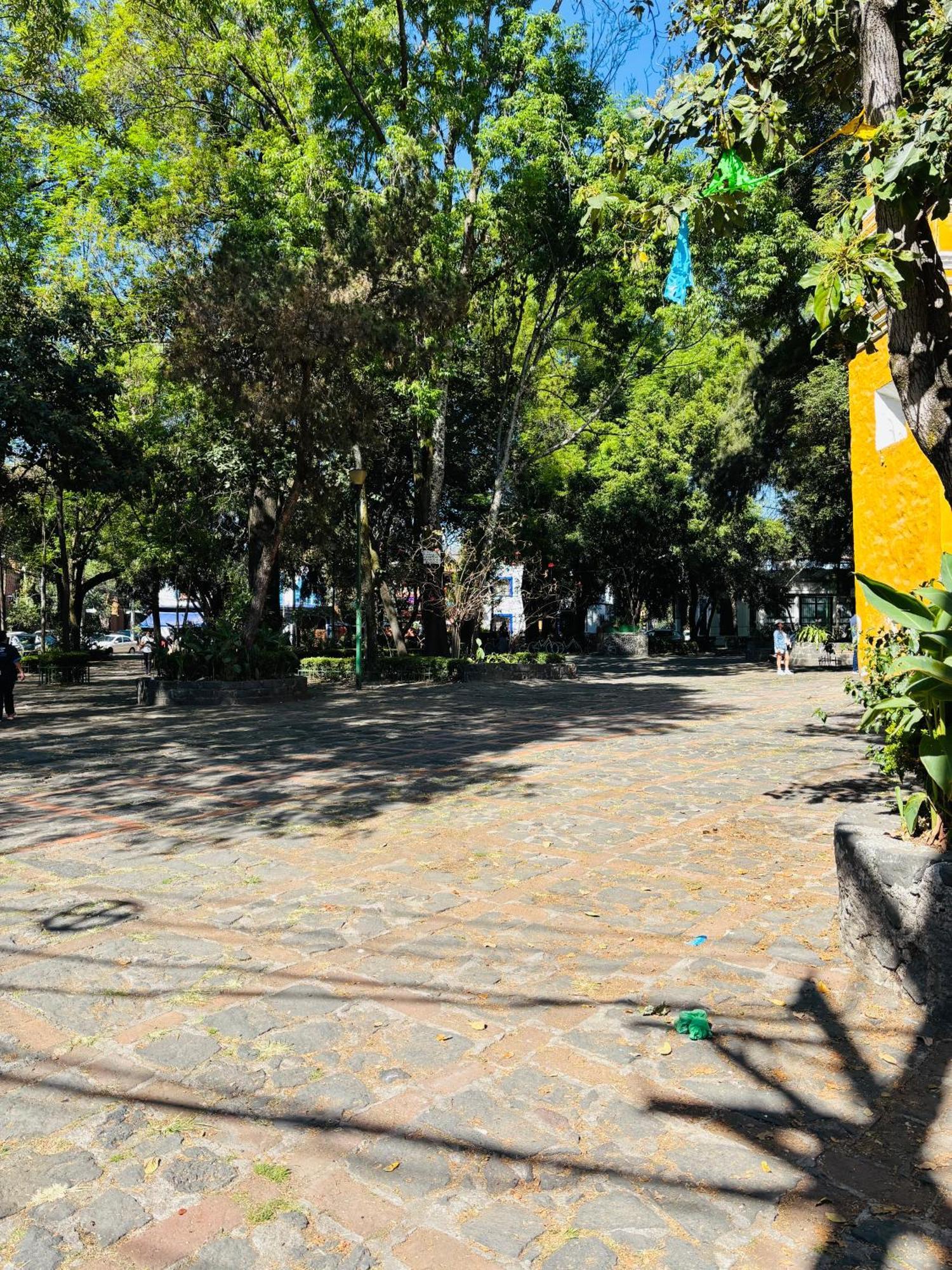 Villa Coyoacan Μεξικό Εξωτερικό φωτογραφία